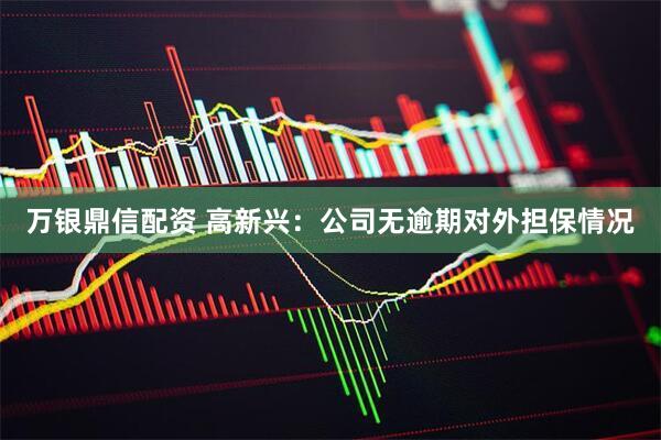 万银鼎信配资 高新兴：公司无逾期对外担保情况