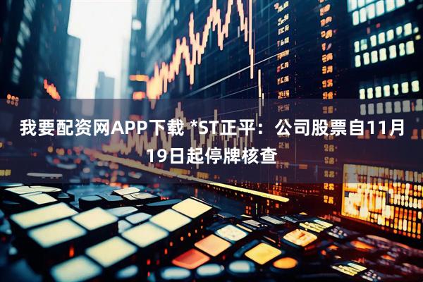 我要配资网APP下载 *ST正平：公司股票自11月19日起停牌核查