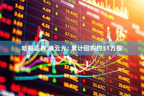 哈福证券 凌云光: 累计回购约31万股