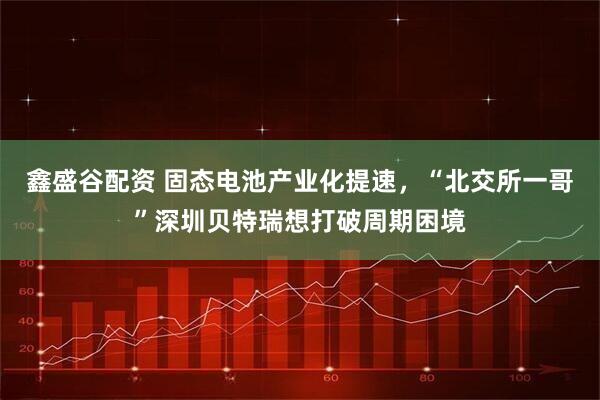鑫盛谷配资 固态电池产业化提速，“北交所一哥”深圳贝特瑞想打破周期困境