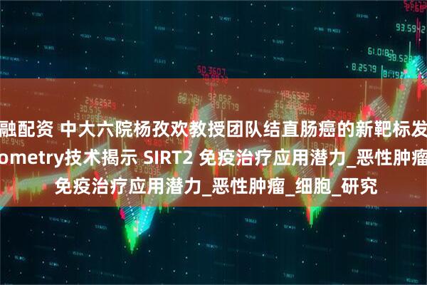 华融配资 中大六院杨孜欢教授团队结直肠癌的新靶标发现Tissue Cytometry技术揭示 SIRT2 免疫治疗应用潜力_恶性肿瘤_细胞_研究