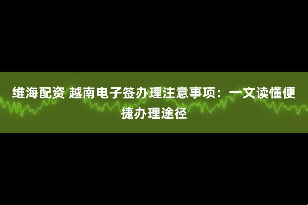 维海配资 越南电子签办理注意事项：一文读懂便捷办理途径