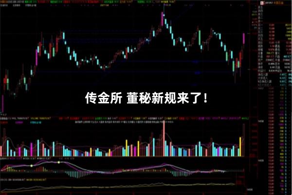 传金所 董秘新规来了！